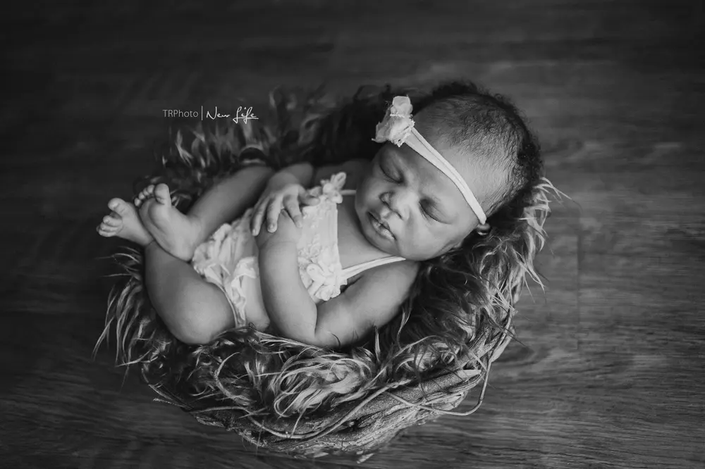 A newborn asleep in a soft nest